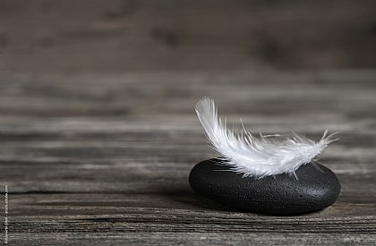 ©Jeanette Dietl - stock.adobe.com